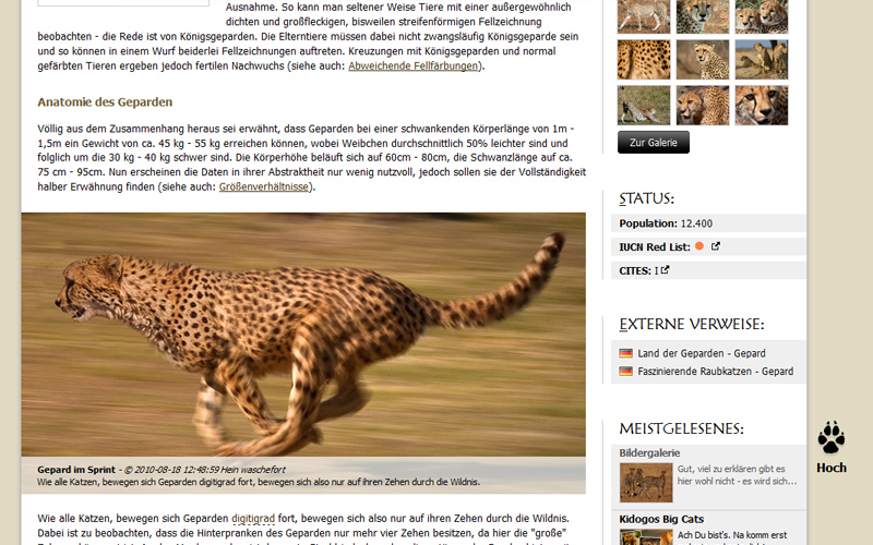 Der Gepard - http://www.acinonyx-jubatus.de
